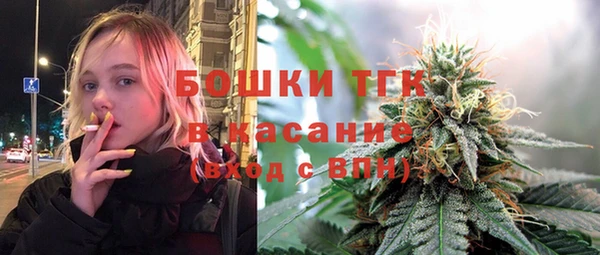 твердый Сатка
